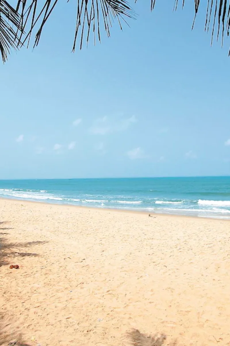 GOA_STH_F001WebOriginalCompressed